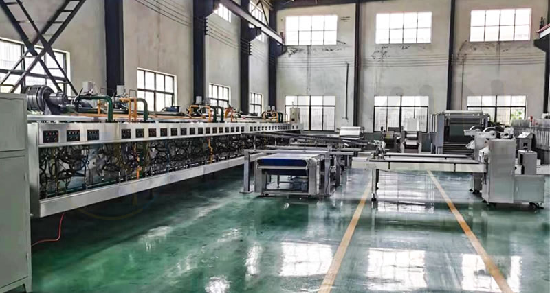 Cheese Biscuit Processing Production Line French Cookie Biscuit Processing Equipment 800kg Automatic Crispy Biscuit Machine